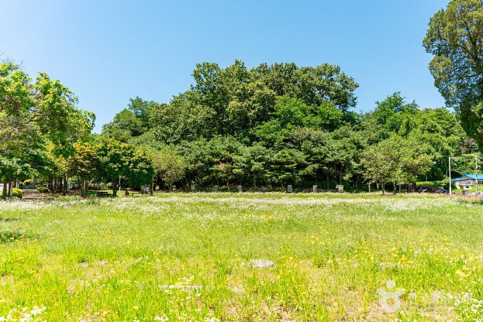 고양_고양 벽제관지 (3)