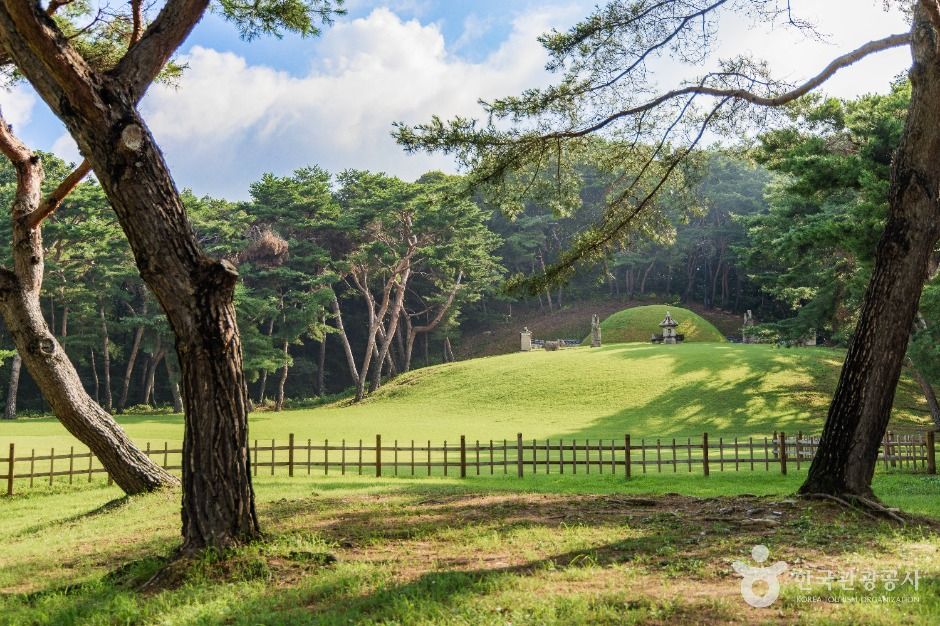고양_고양 서오릉[유네스코 세계유산] (4)