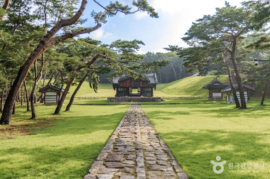 고양_고양 서오릉[유네스코 세계유산] (5)