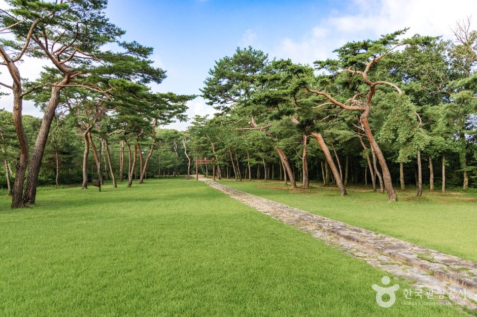 고양_고양 서오릉[유네스코 세계유산] (6)