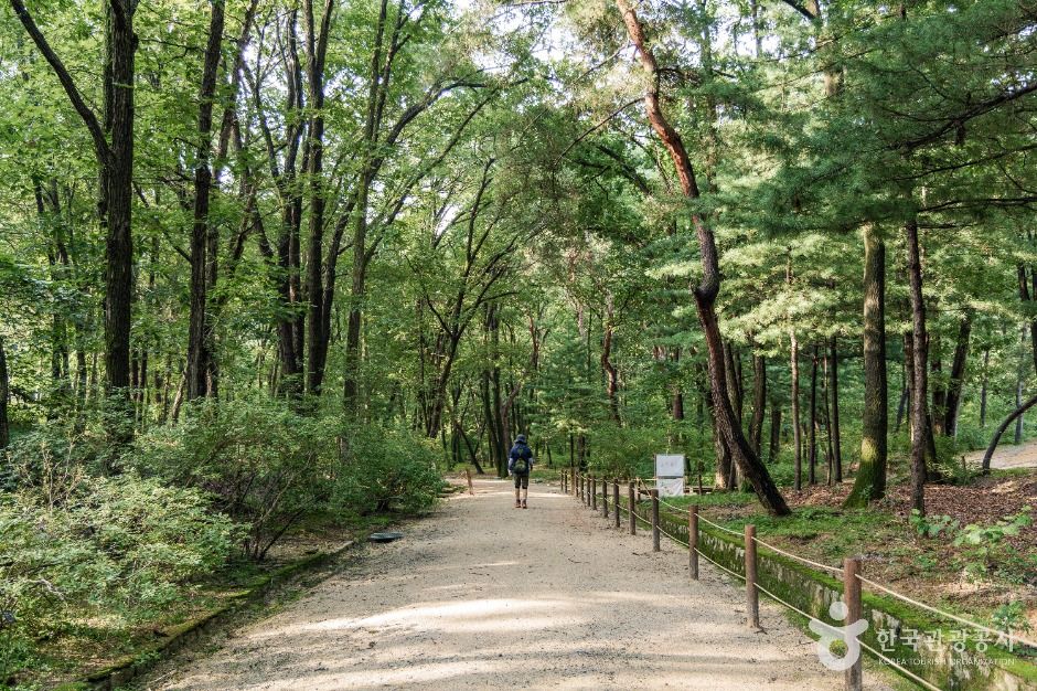 고양_고양 서오릉[유네스코 세계유산] (8)