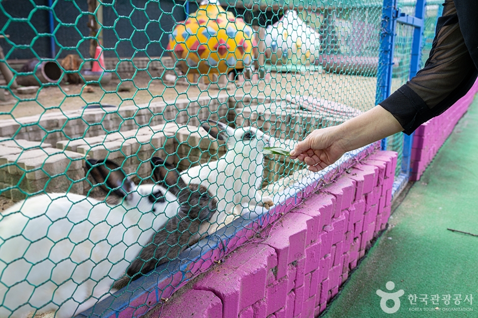 고양낙농치즈테마체험장 (4)