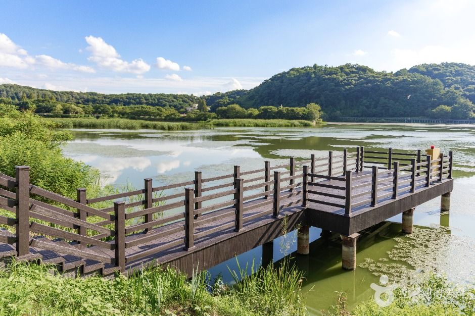 파주_공릉호 (2)