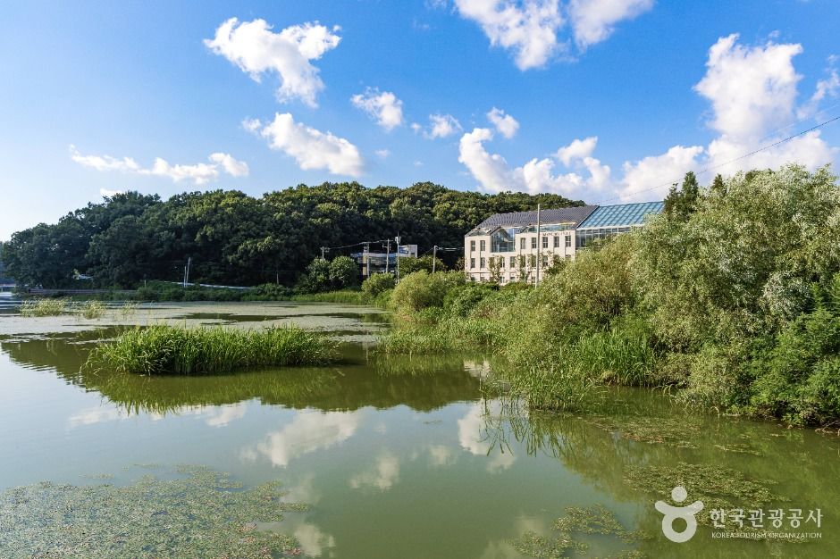 파주_공릉호 (7)