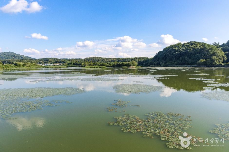 파주_공릉호 (5)