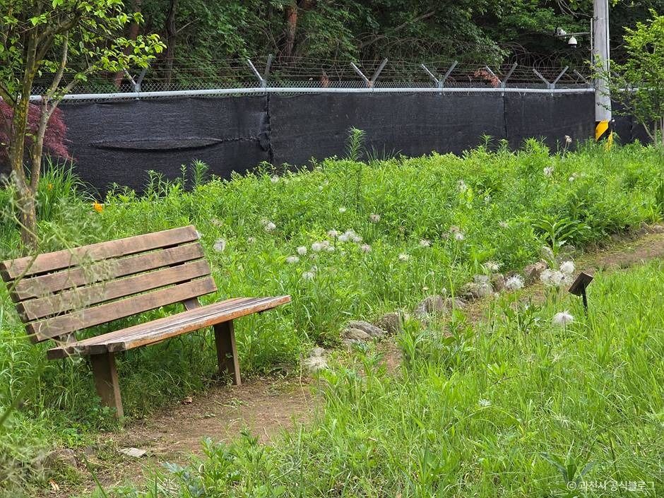 과천_과천야생화자연학습장 (2)