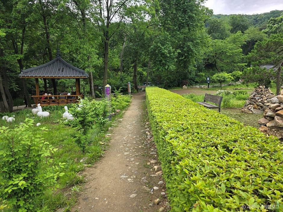 과천_과천야생화자연학습장 (3)