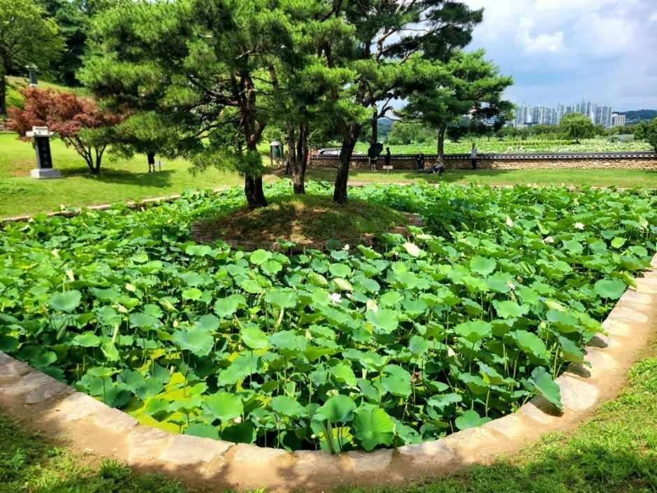 시흥_관곡지 (2)