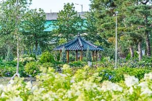 구리한강시민공원(코스모스공원)