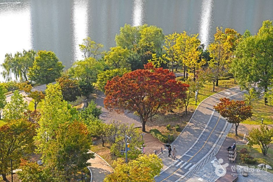 수원_광교 프라이부르크전망대 (3)