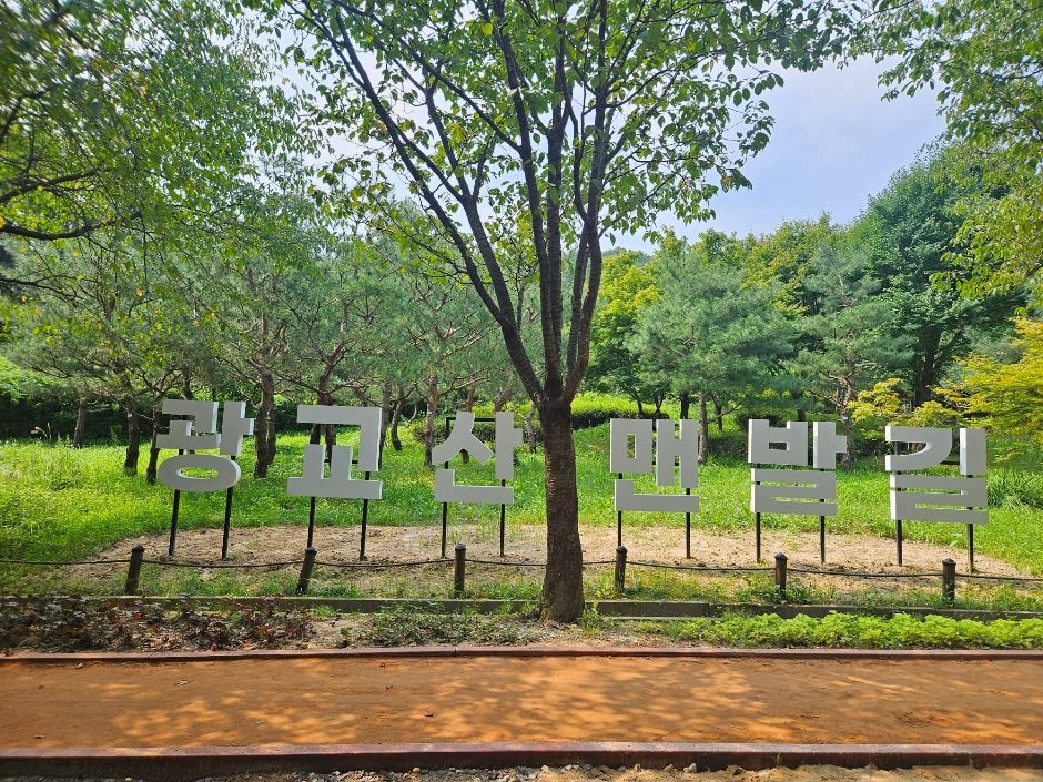 수원_광교산 (1)