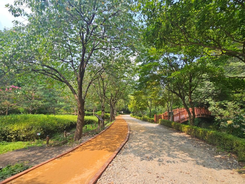 수원_광교산 (2)