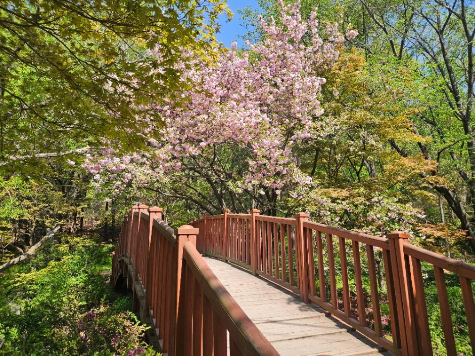 수원_광교산 (4)