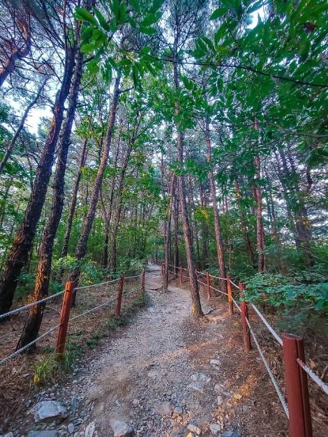 수원_광교산 (5)