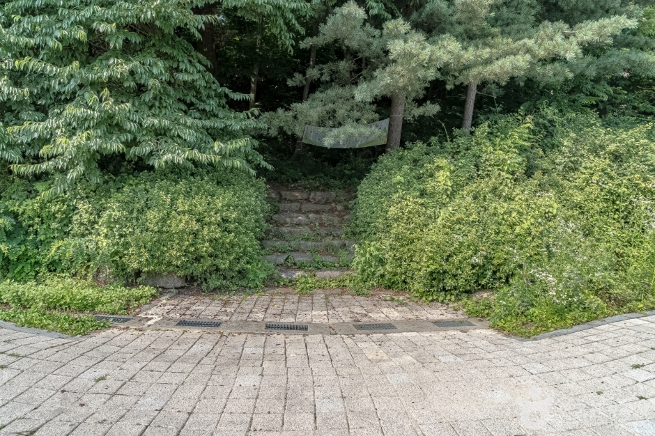 광교산체육공원 (4)