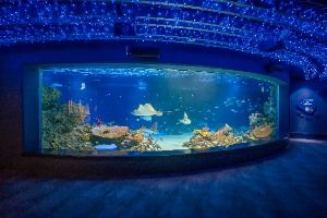 아쿠아플라넷 광교