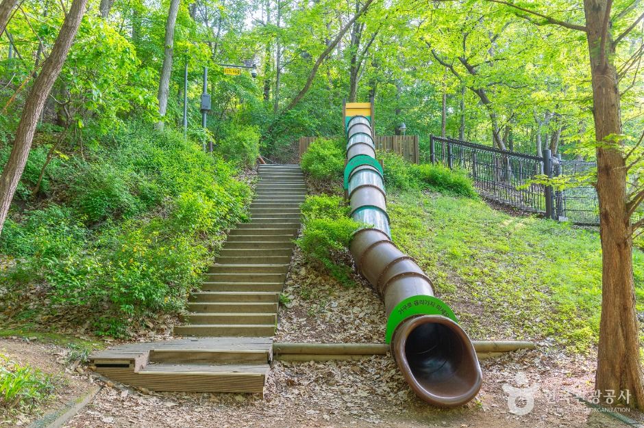 수원_광교중앙공원 (2)