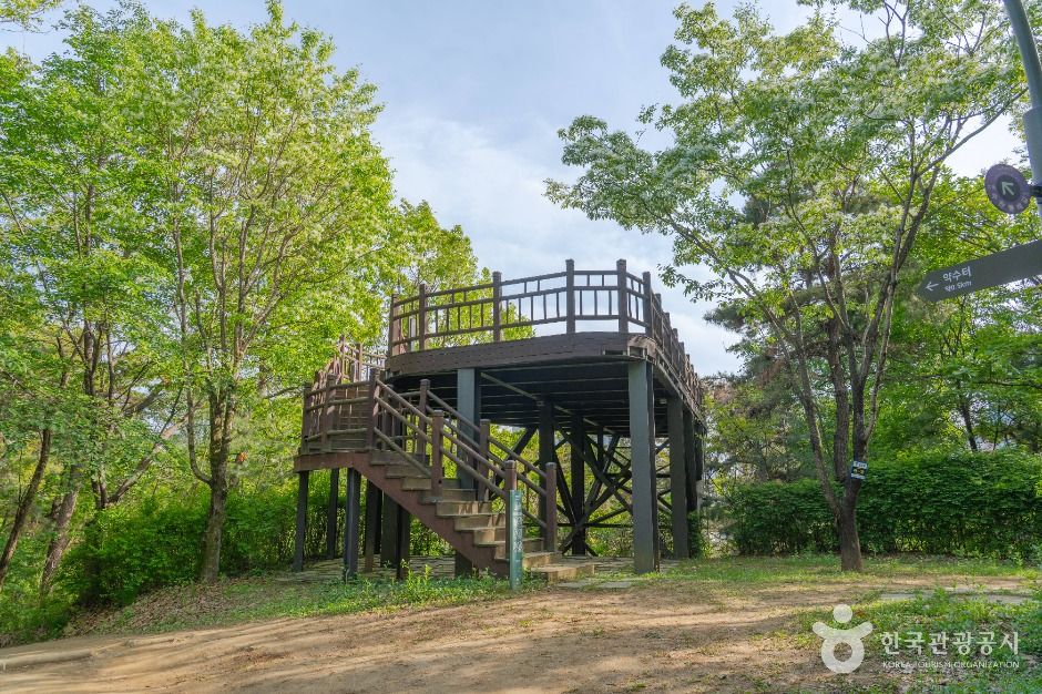 수원_광교중앙공원 (4)