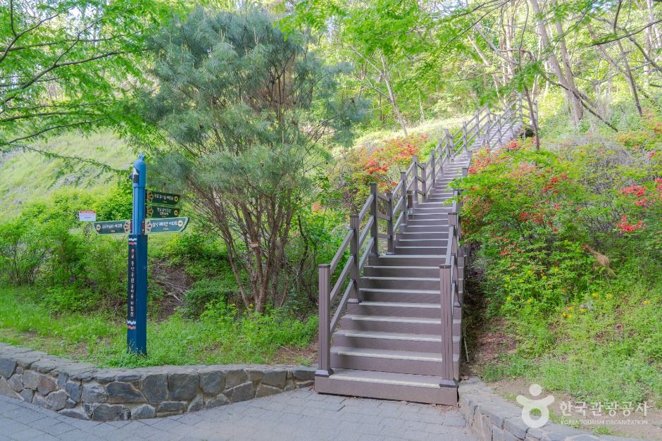 수원_광교중앙공원 (5)