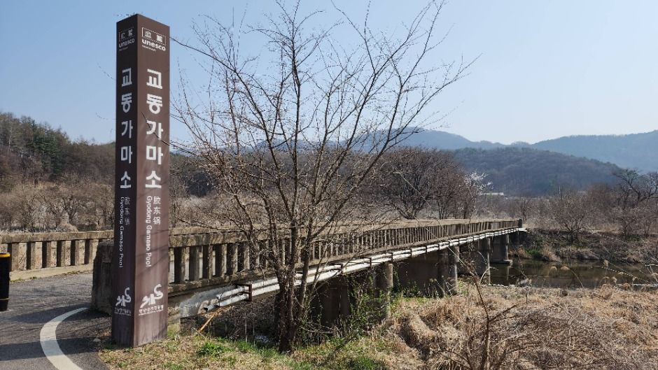 포천_교동 가마소 (한탄강 유네스코 세계지질공원) (7)