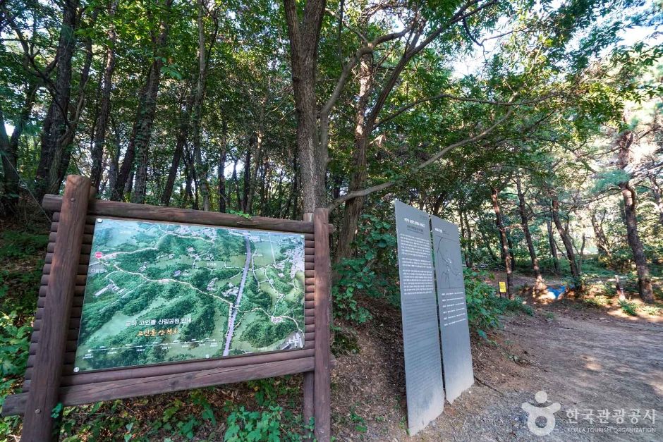 경기_파주_교하동 고인돌 산림욕장 (1)