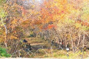 파주 DMZ 생태연구소