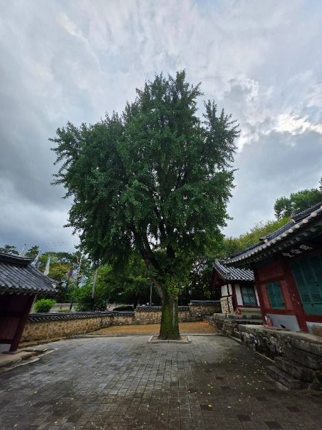 파주_교하향교 (10)