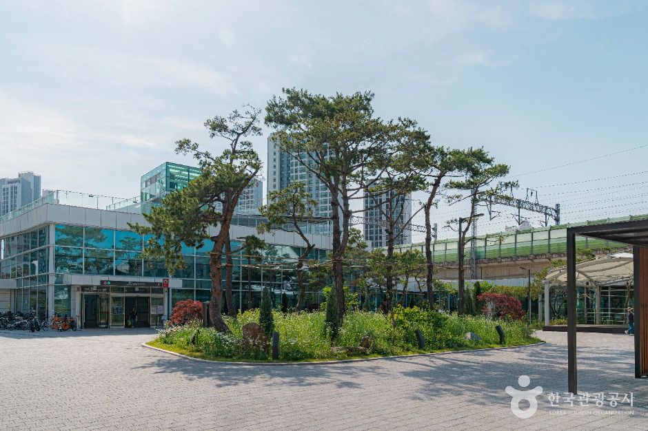 구리_구리역공원 (5)