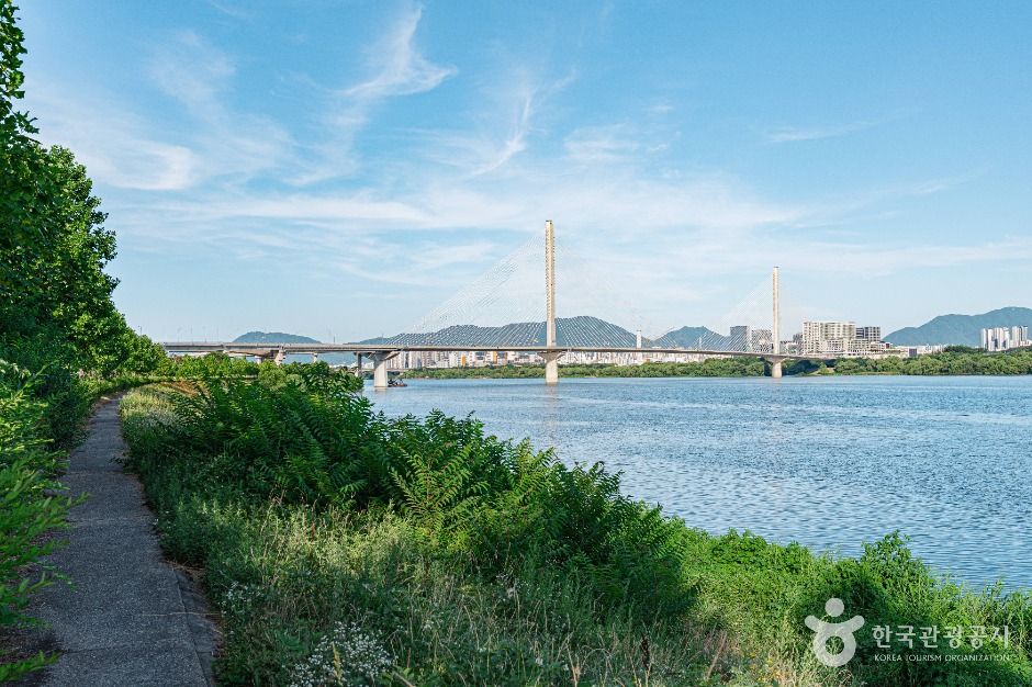 구리_구리한강시민공원(코스모스공원) (6)