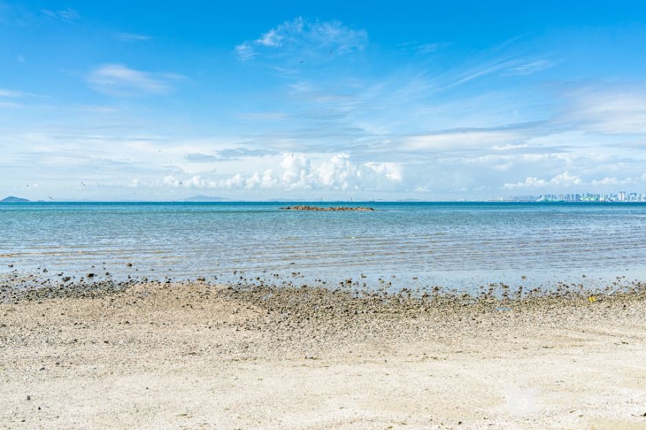 안산_구봉솔숲해수욕장 (4)