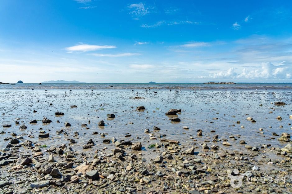 안산_구봉솔숲해수욕장 (8)