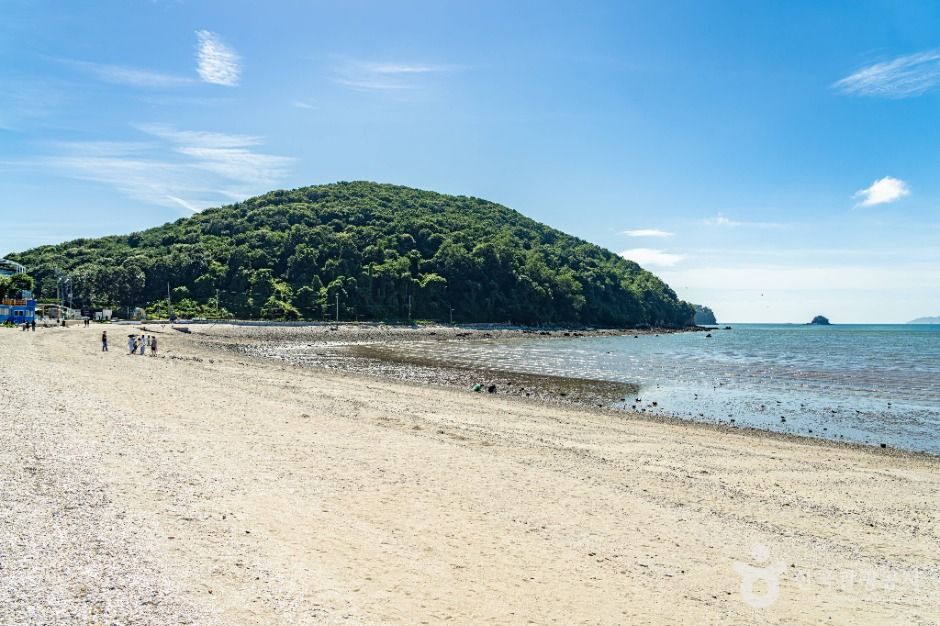 안산_구봉솔숲해수욕장 (5)