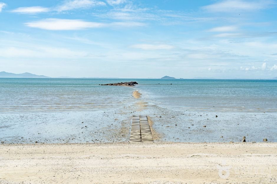 안산_구봉솔숲해수욕장 (6)