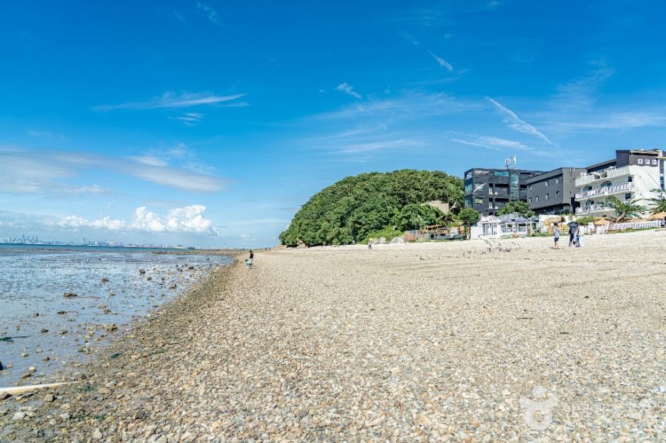 안산_구봉솔숲해수욕장 (10)