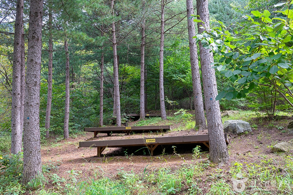 국립 운악산자연휴양림 (3)