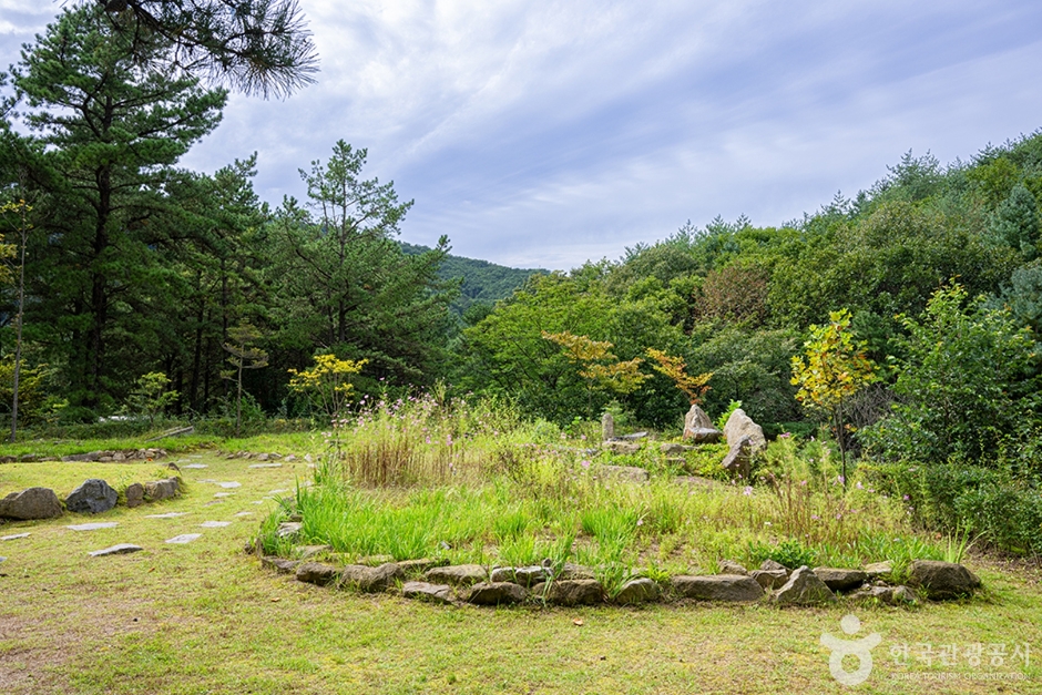 국립 운악산자연휴양림 (6)