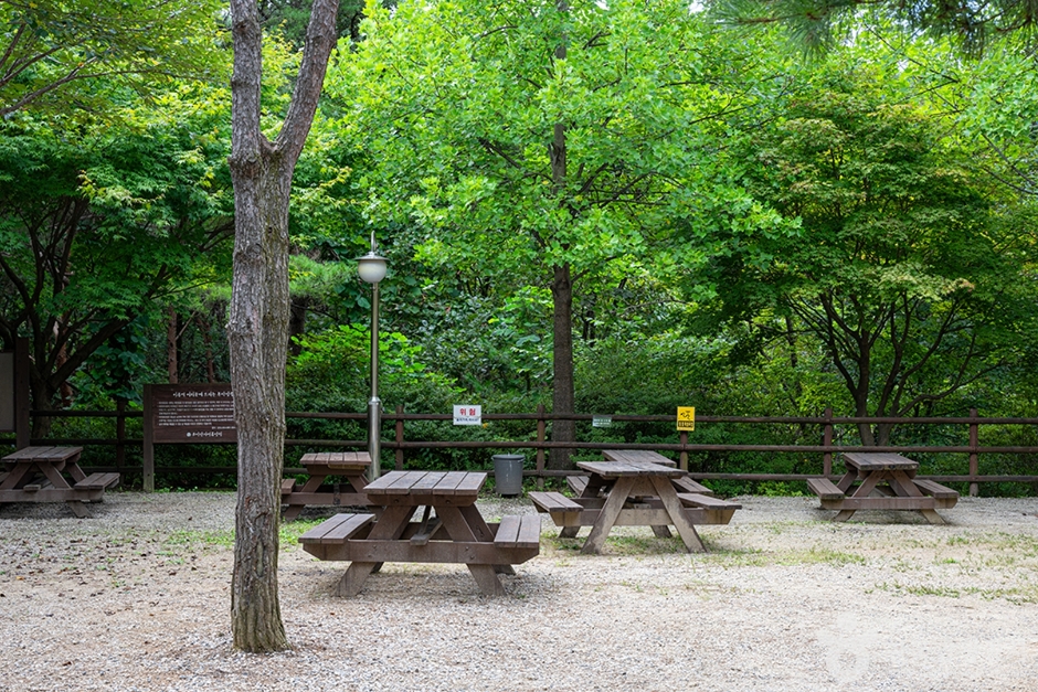 국립 운악산자연휴양림 (12)