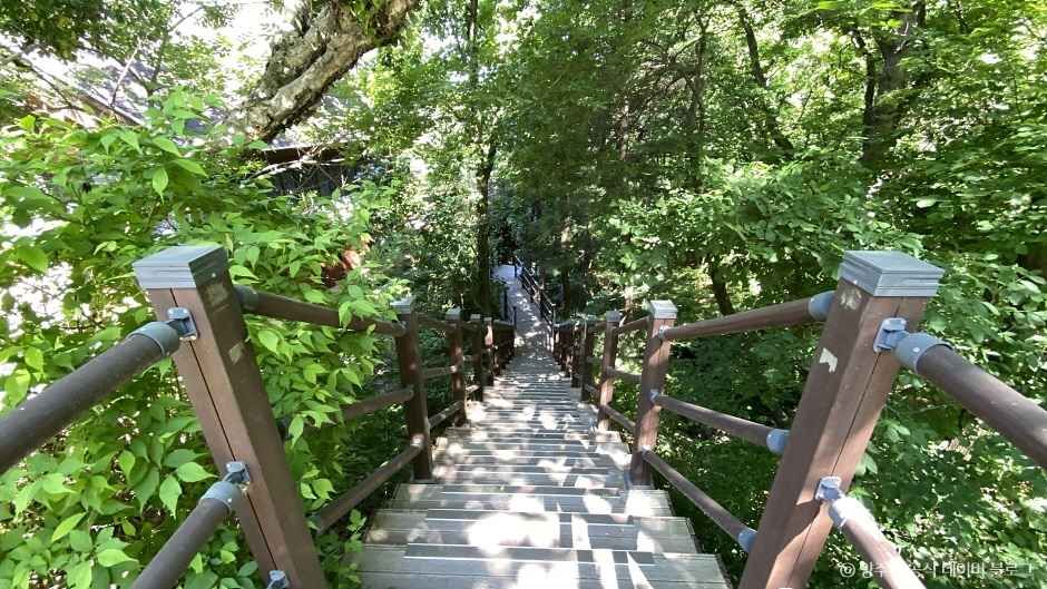 경기_양주_국립아세안자연휴양림 (3)