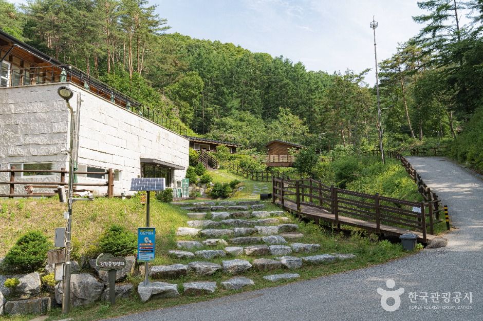 양평_국립양평치유의숲 (1)