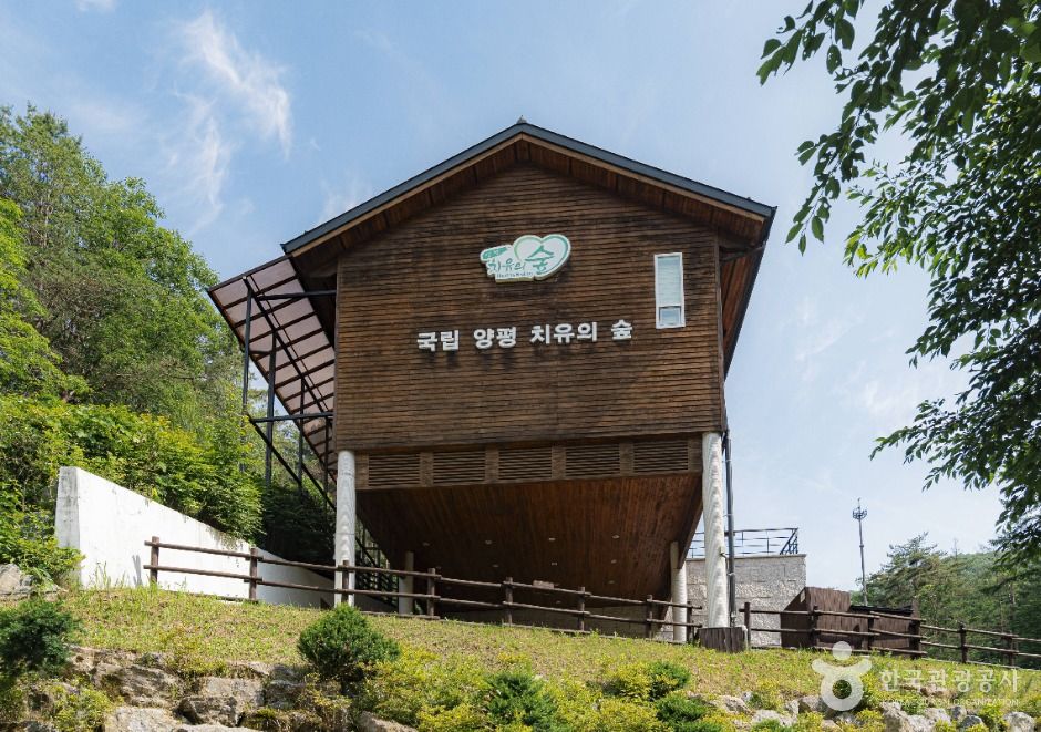 국립양평치유의숲