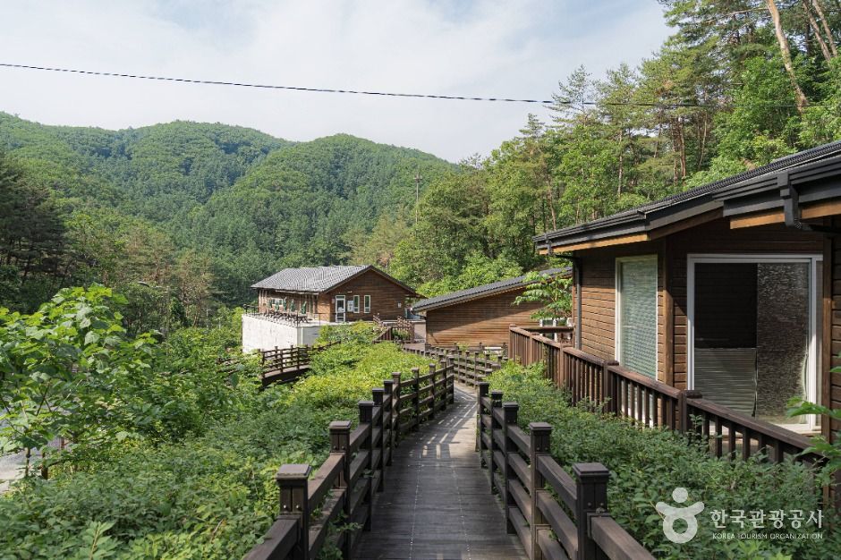 양평_국립양평치유의숲 (4)