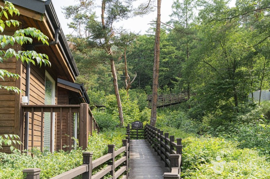 양평_국립양평치유의숲 (5)