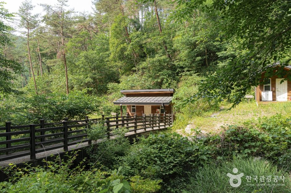 양평_국립양평치유의숲 (6)