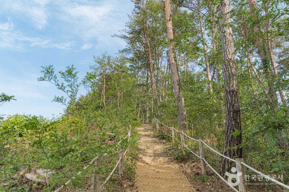 양평_국립양평치유의숲 (7)
