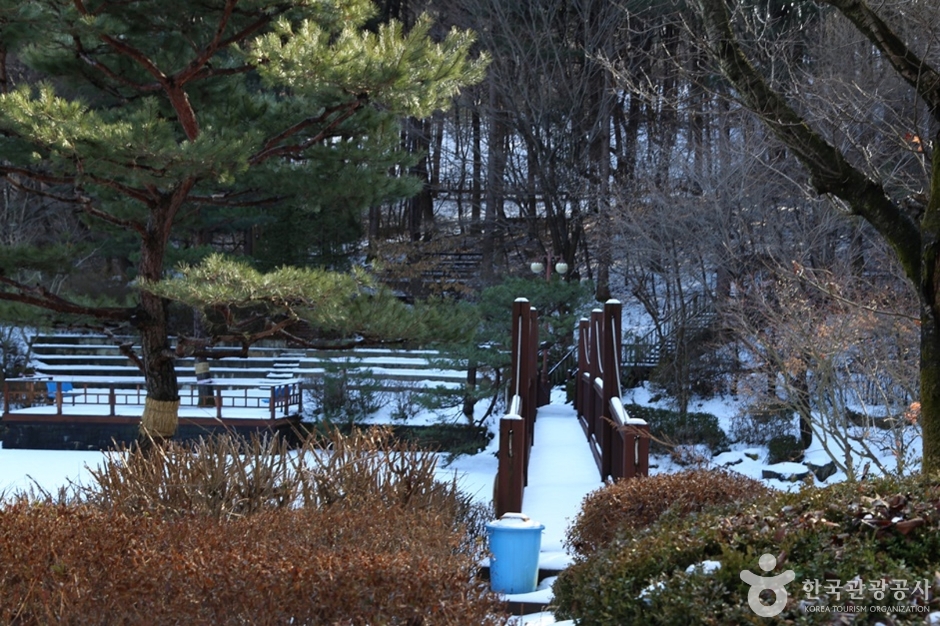 국제광림비전랜드 (4)