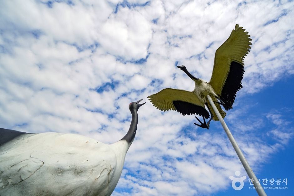 연천_군남홍수조절지 두루미테마파크 (6)