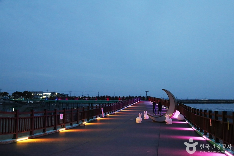 궁평리 해수욕장 (17)