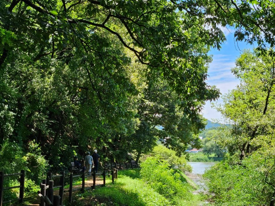 안성_금광호수 (2)