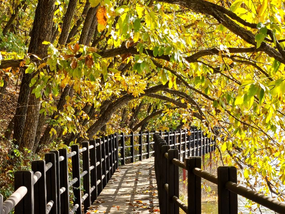 안성_금광호수 (3)