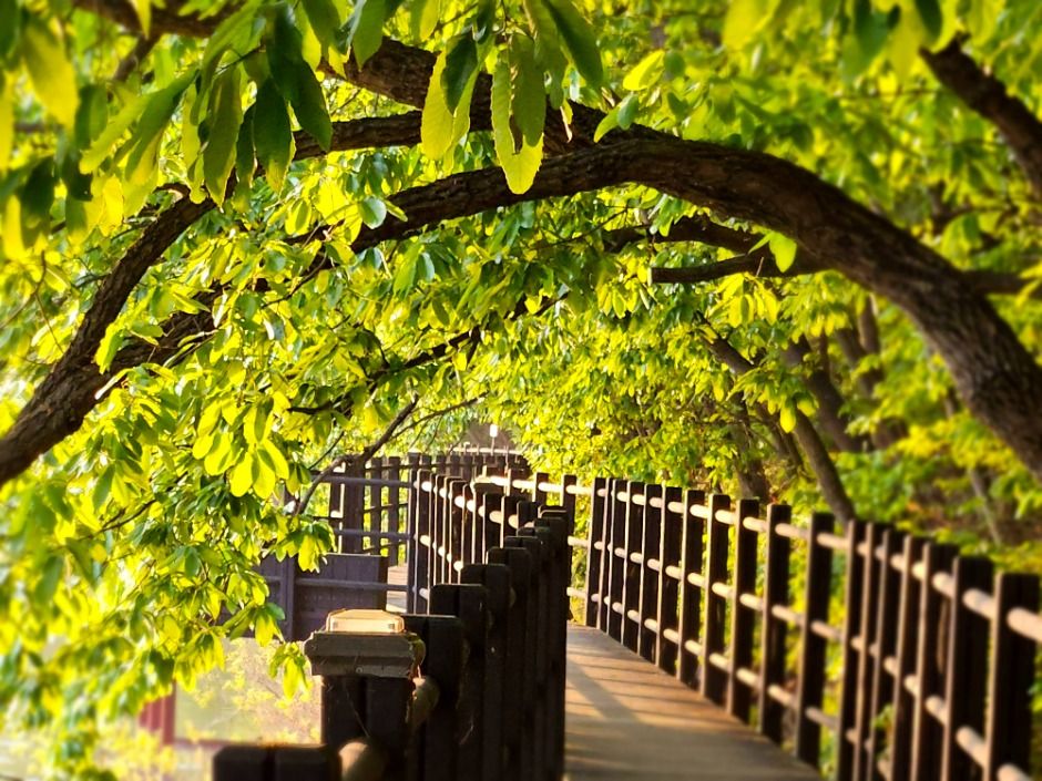 안성_금광호수 (4)